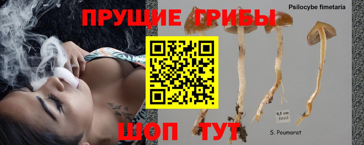 Псилоцибиновые грибы мухоморы Санкт-Петербург