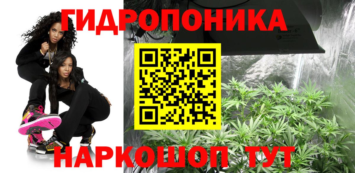 Канабис VHQ Санкт-Петербург